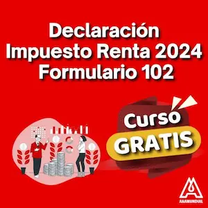 Declaración Impuesto Renta 2024 Formulario 102